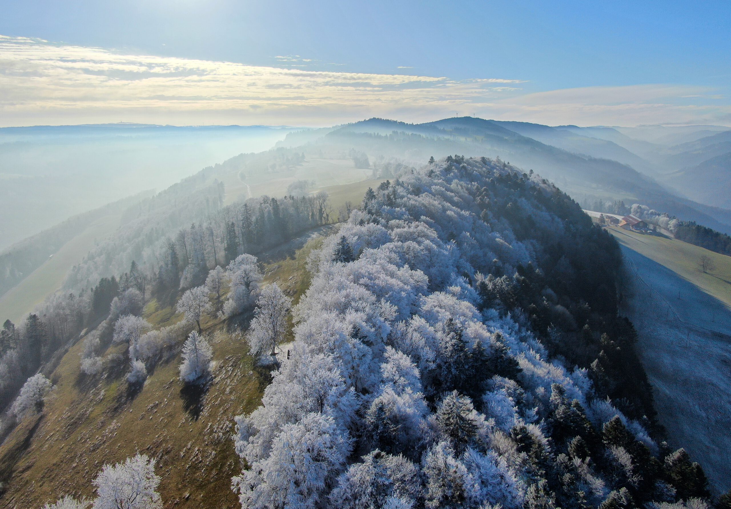 The hilly landscape of the Jura with slightly frosty trees.